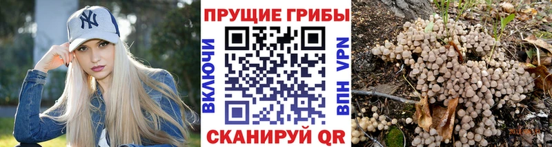 Псилоцибиновые грибы мухоморы Стародуб