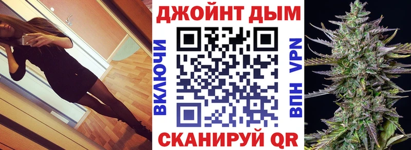 Купить  Стародуб  Конопля планчик 
